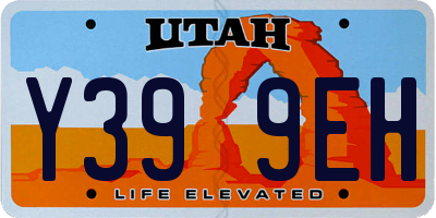 UT license plate Y399EH