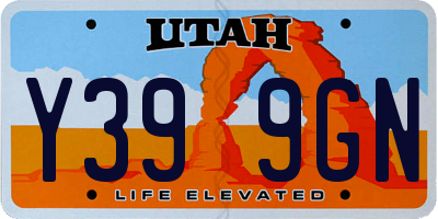 UT license plate Y399GN