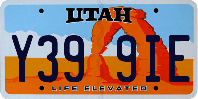 UT license plate Y399IE