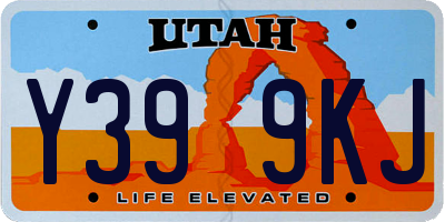 UT license plate Y399KJ