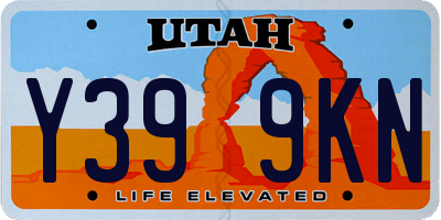 UT license plate Y399KN