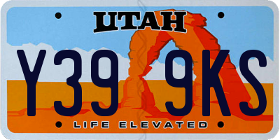 UT license plate Y399KS