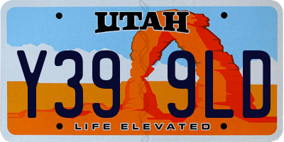 UT license plate Y399LD
