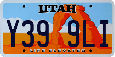 UT license plate Y399LI