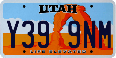 UT license plate Y399NM