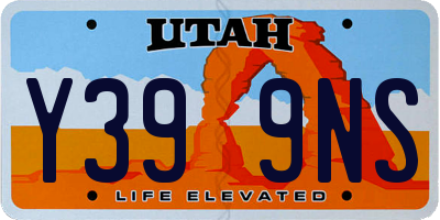 UT license plate Y399NS
