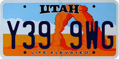 UT license plate Y399WG