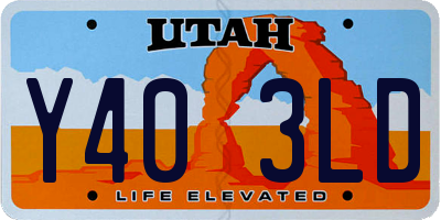 UT license plate Y403LD
