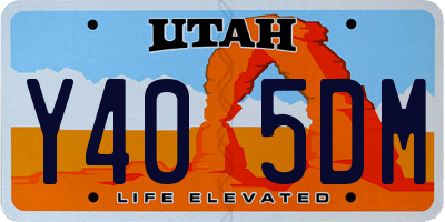 UT license plate Y405DM