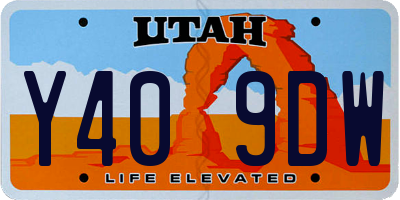 UT license plate Y409DW
