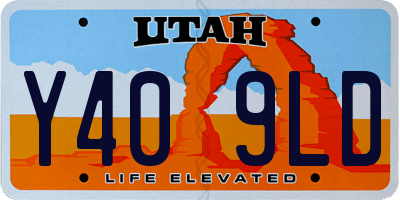 UT license plate Y409LD
