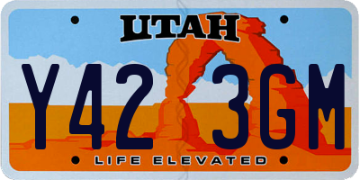 UT license plate Y423GM