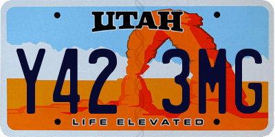 UT license plate Y423MG