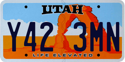 UT license plate Y423MN