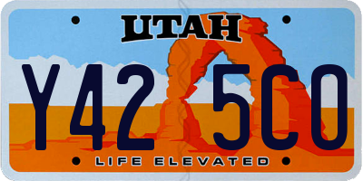 UT license plate Y425CO