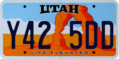 UT license plate Y425DD