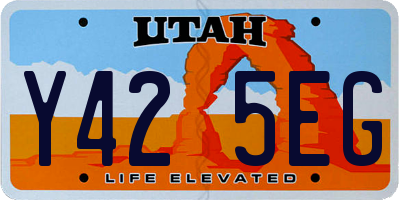 UT license plate Y425EG