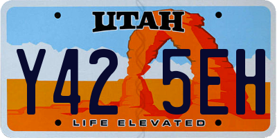 UT license plate Y425EH