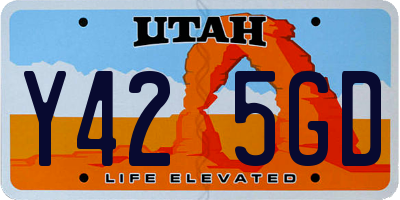 UT license plate Y425GD