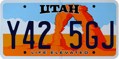 UT license plate Y425GJ