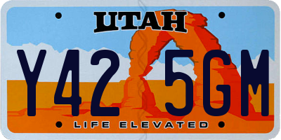 UT license plate Y425GM