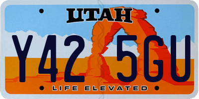 UT license plate Y425GU