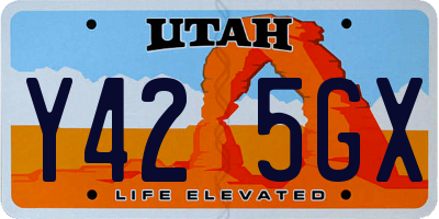 UT license plate Y425GX