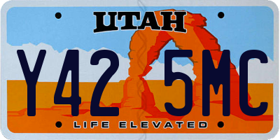 UT license plate Y425MC