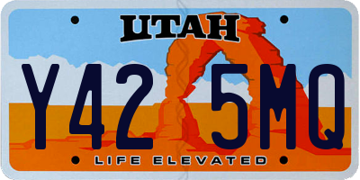 UT license plate Y425MQ