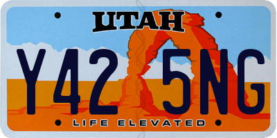 UT license plate Y425NG