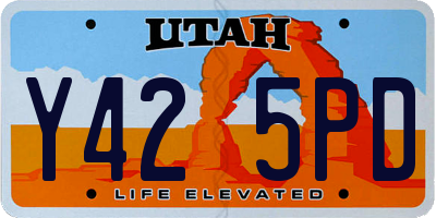 UT license plate Y425PD