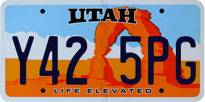 UT license plate Y425PG