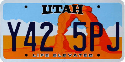 UT license plate Y425PJ