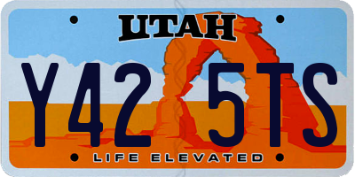 UT license plate Y425TS