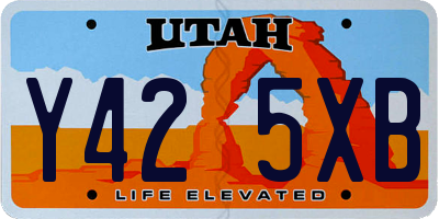UT license plate Y425XB