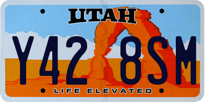 UT license plate Y428SM