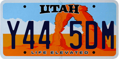 UT license plate Y445DM