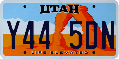 UT license plate Y445DN