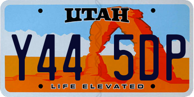 UT license plate Y445DP
