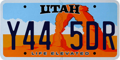 UT license plate Y445DR