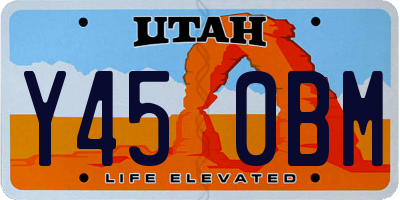 UT license plate Y450BM