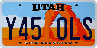 UT license plate Y450LS