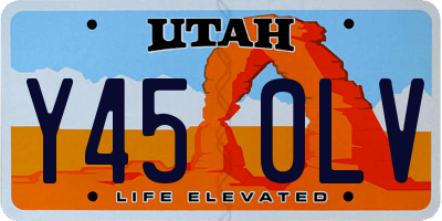 UT license plate Y450LV