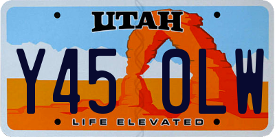 UT license plate Y450LW