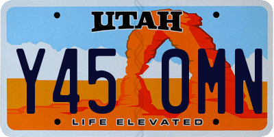 UT license plate Y450MN