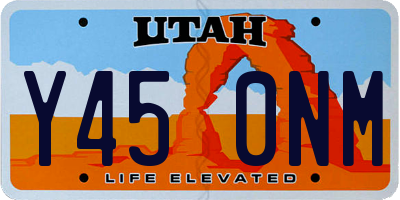UT license plate Y450NM