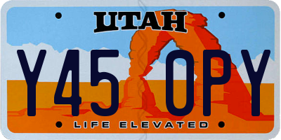 UT license plate Y450PY
