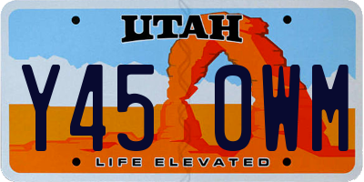 UT license plate Y450WM