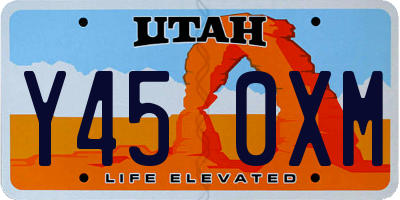 UT license plate Y450XM