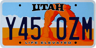 UT license plate Y450ZM